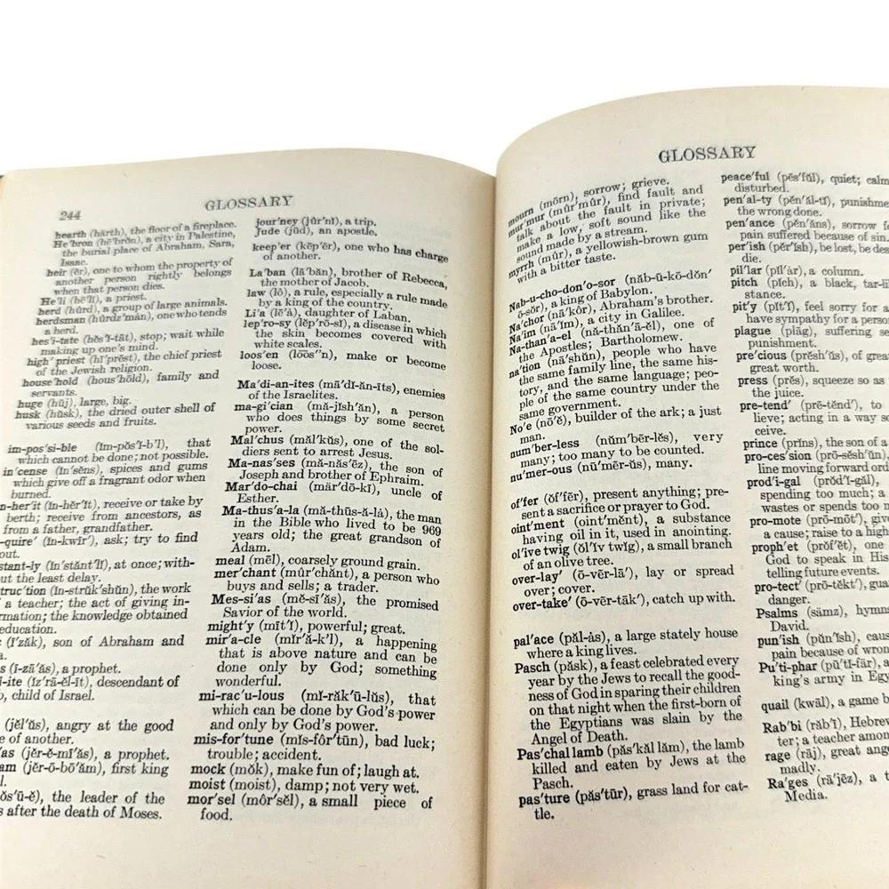 Benziger Brothers The Bible Story 1931 Catholic Textbook Illustrated Lower Grade
